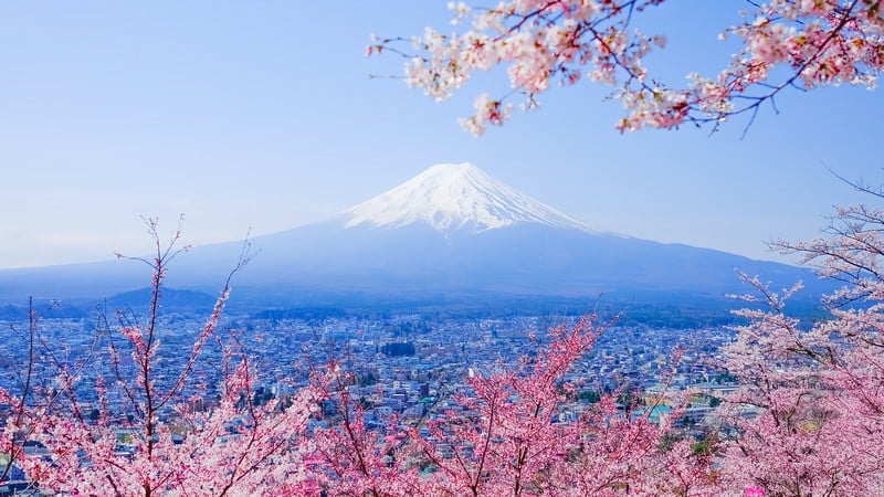 NARITA - TOKYO – TP. HỒ CHÍ MINH                                                                    (Ăn sáng)